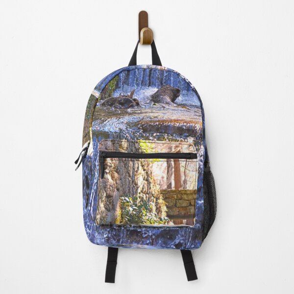 Item preview, Poinsette State Park Waterfall South Carolina designed and sold by LisaWootenPhoto.