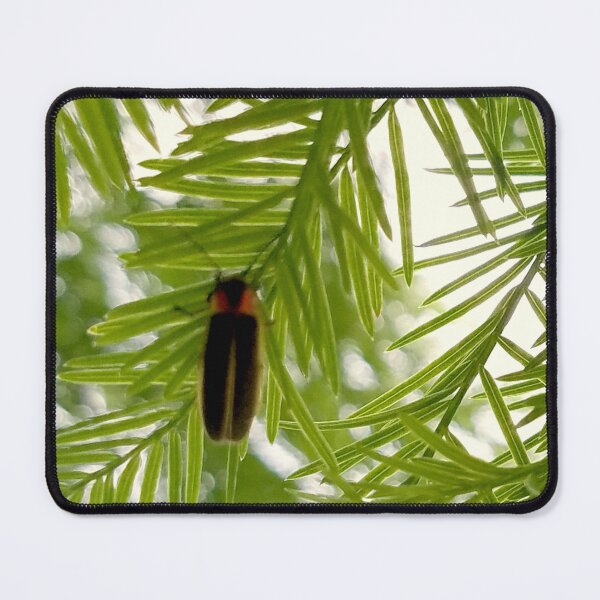 Item preview, Firefly on Cypress designed and sold by MooseDogPhotos.