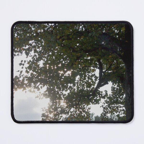 Item preview, Sunlight Through the Leaves designed and sold by MooseDogPhotos.