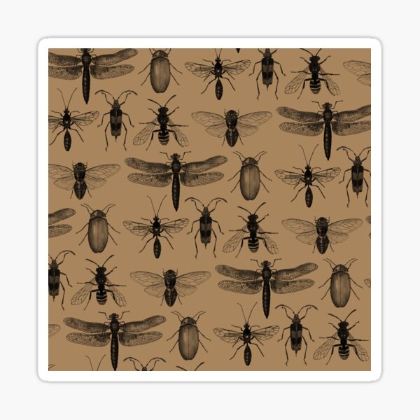Entomology studies pattern Sticker
