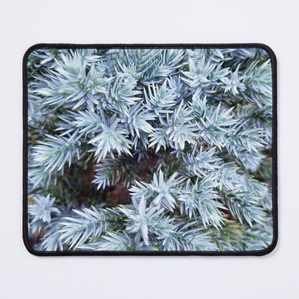 Item preview, Blue Juniper  designed and sold by MooseDogPhotos.