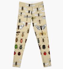 Entomology Insect studies collection Leggings