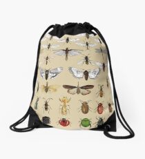 Mochila saco Colección de estudios de entomología de insectos