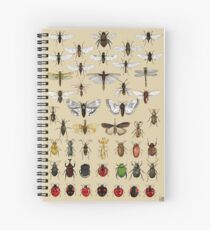 Entomologie Insektenstudien Sammlung Spiralblock