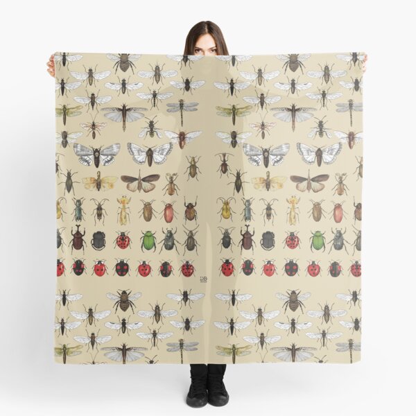 Entomology Insect studies collection Scarf