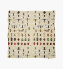 Entomology Insect studies collection Scarf