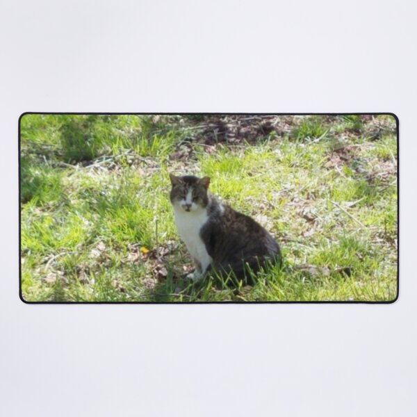 Item preview, Sunshine Kitty designed and sold by MooseDogPhotos.