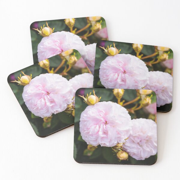 Item preview, Pink Summer Roses designed and sold by Tanya C  Smith.