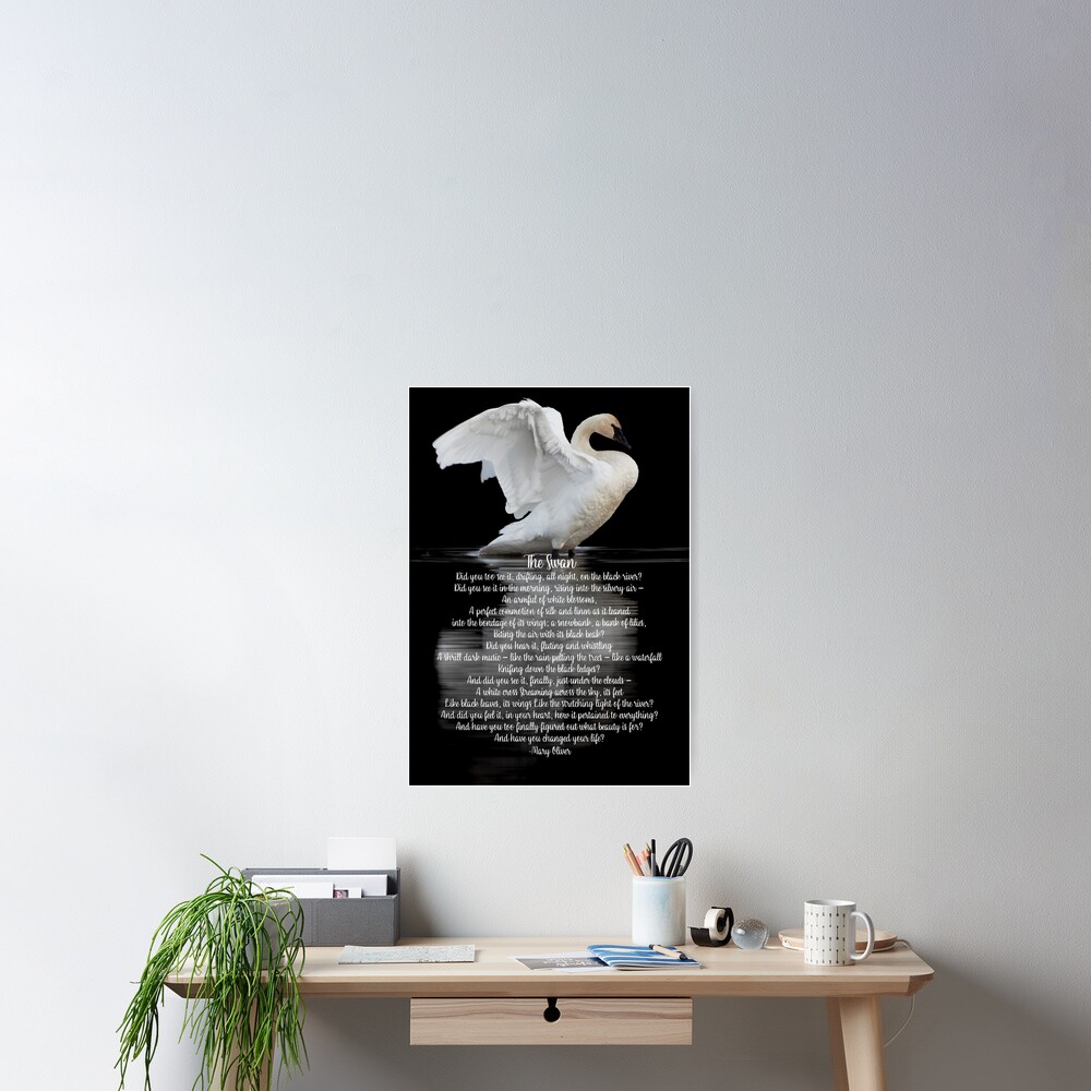 "The Swan Classic Poem by Mary Oliver" Poster by Caregiverology Redbubble