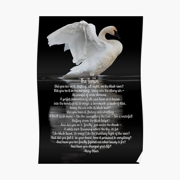 "The Swan Classic Poem by Mary Oliver" Poster by Caregiverology Redbubble