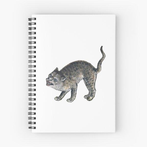 Item preview, Medieval #28 - The Angry Cat designed and sold by libraryworm.