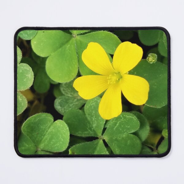 Item preview, Shamrocks with Flower designed and sold by MooseDogPhotos.