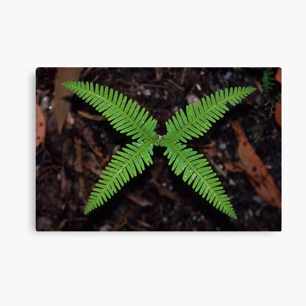 Item preview, Symmetry designed and sold by Travis Easton.