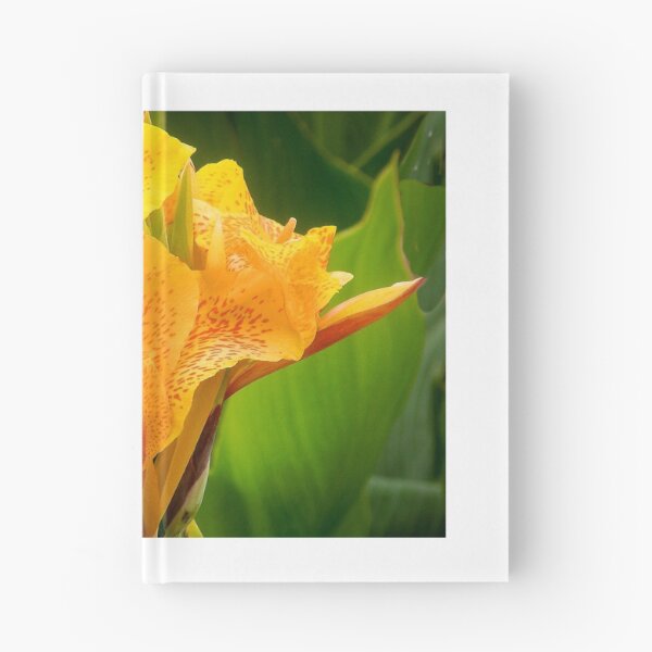 Item preview, Orange Canna designed and sold by DPalmer.