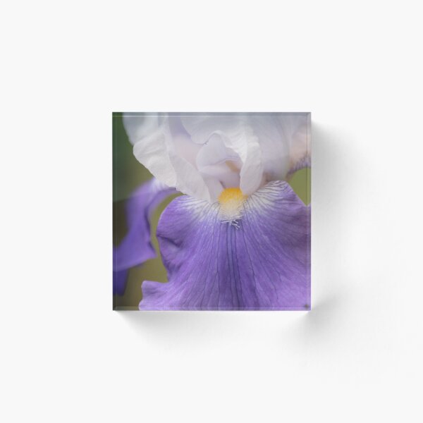 Item preview, Bearded Iris Planeur designed and sold by nancyjcreates.