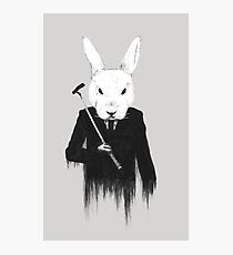 The White Rabbit Photographic Print