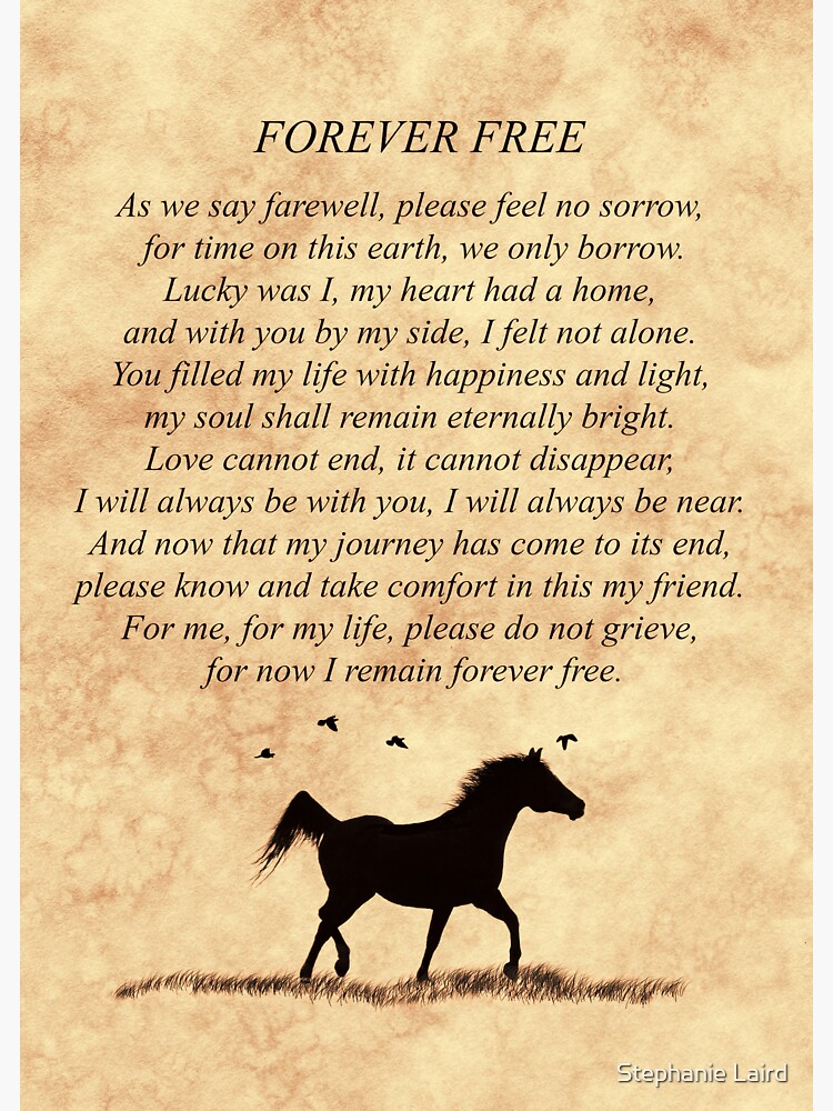 "Horse Sympathy Condolences Spiritual Poem Forever Free By Stephanie ...