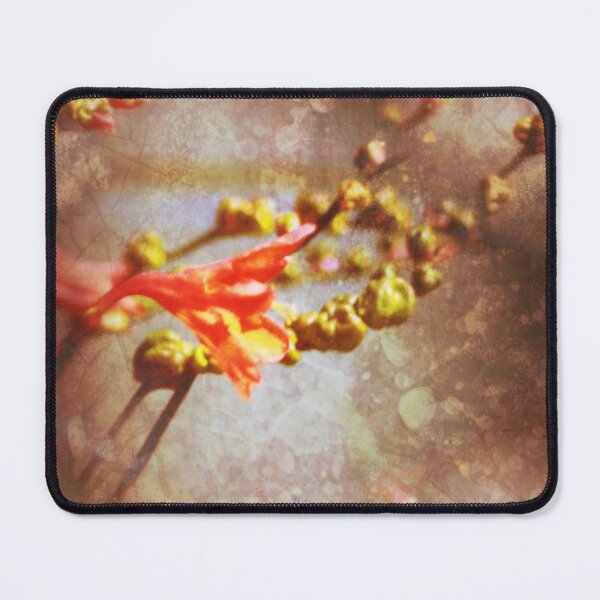 Item preview, Crocosmia flowers by the Methodist church in Rainier pattern designed and sold by Dawna Morton.