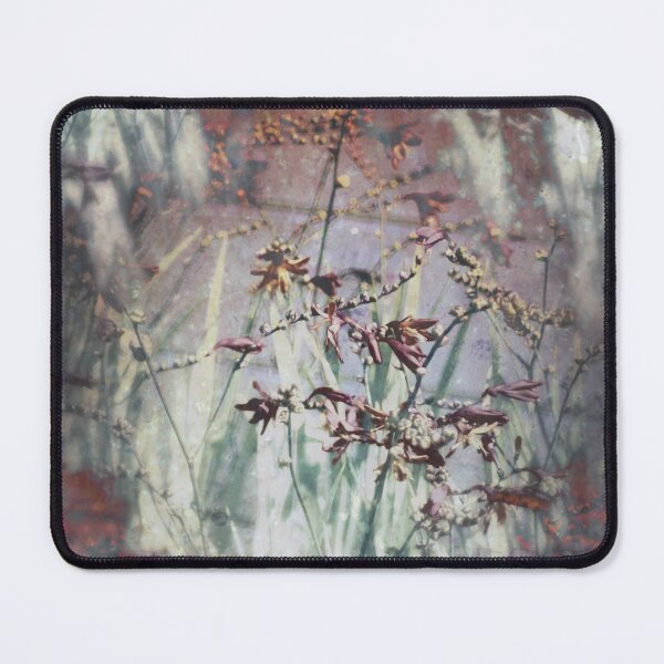 Item preview, Crocosmia flowers by the Methodist church in Rainier 3 pattern designed and sold by Dawna Morton.