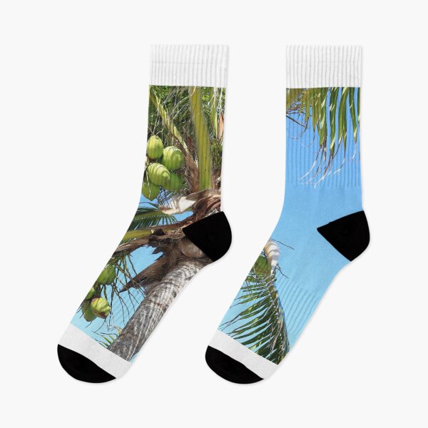 Item preview, Florida coconuts designed and sold by zumi.
