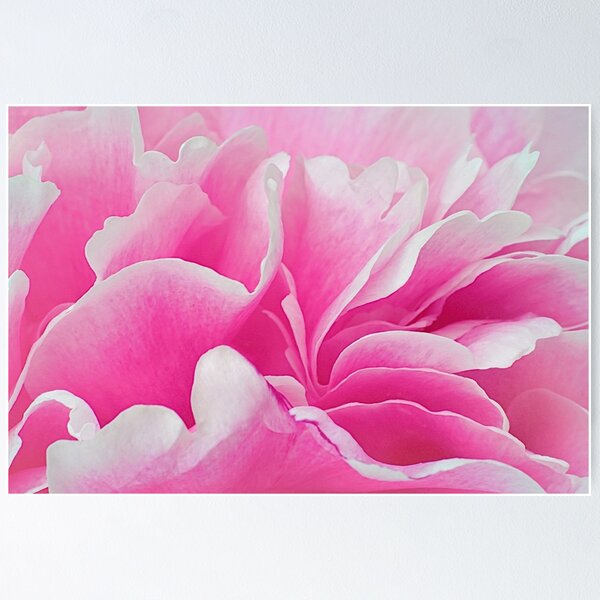Item preview, Peony Petal Party designed and sold by Kathilee.