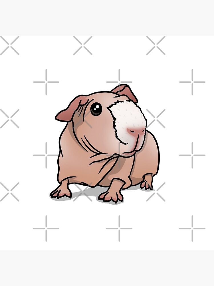 Pink 2024 skinny pig