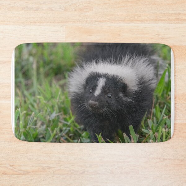 Item preview, Baby Skunk Black and White Wildlife Photograph designed and sold by SafariByMarisa.