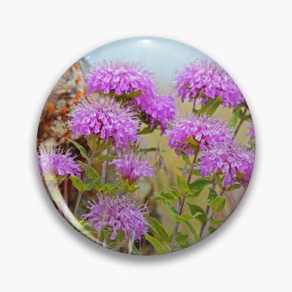 Item preview, Wild Bergamot designed and sold by Whisperingpeaks.