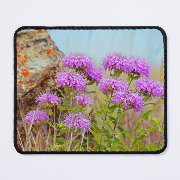 Item preview, Wild Bergamot designed and sold by Whisperingpeaks.
