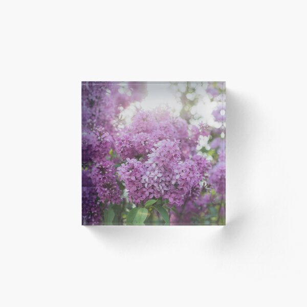 Dreamy Spring Lilac Acrylic Block