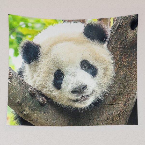 Item preview, ANIMALS #14 - Adorable Close-up of a Panda in Tree designed and sold by DEL-Productions.