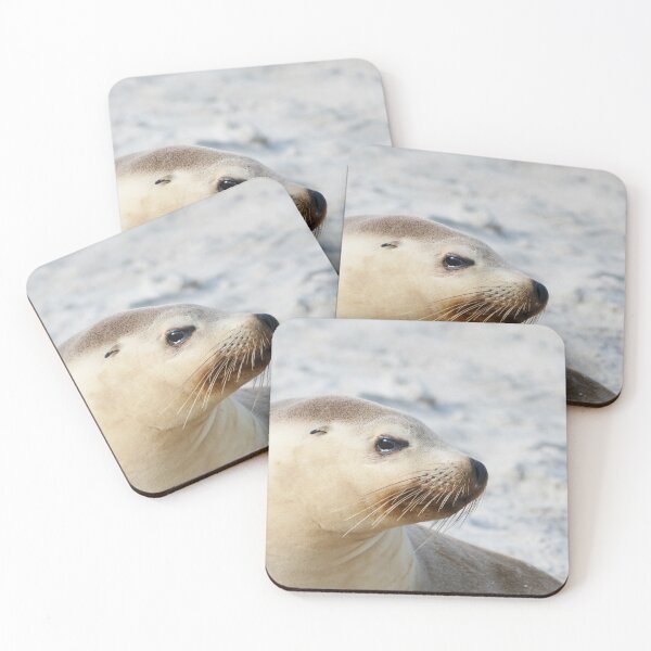 Item preview, Sea Lion designed and sold by Steve9.