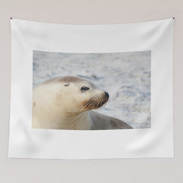 Item preview, León marino designed and sold by Steve9.
