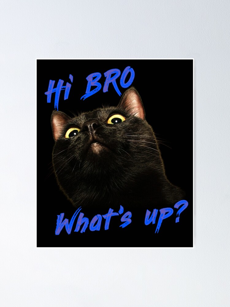 "The black cat is talking Hi BRO What's up?" Poster for Sale by
