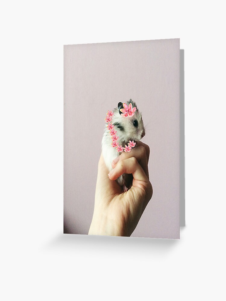 Tarjetas de felicitación «Hámster con collar de flores rosas» de Sgragg66 | Redbubble Tarjetas de felicitación «Hámster con collar de flores rosas» de Sgragg66 | Redbubble