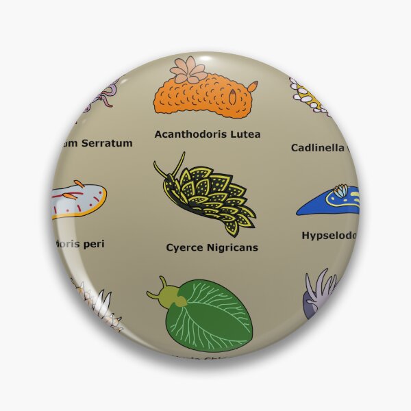 Item preview, Sea Slugs Scientific Names designed and sold by KibbyArt.