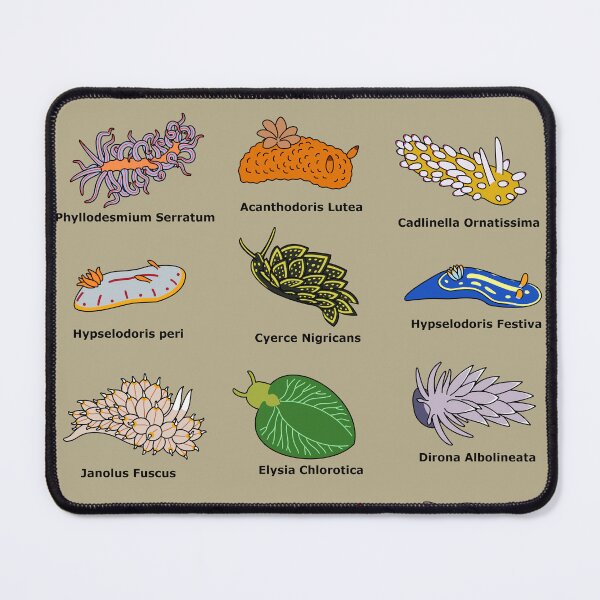 Item preview, Sea Slugs Scientific Names designed and sold by KibbyArt.