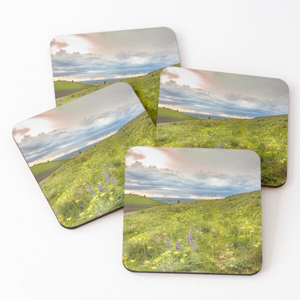 Item preview, Showers and Flowers, Kamiak Butte, Washington designed and sold by Alison Meyer Photography.