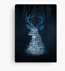 Throne of Glass - The Stag, the Lord of the North Canvas Print