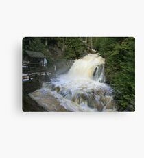 Misty spring falls, Victoria Park, Truro, NS Canvas Print