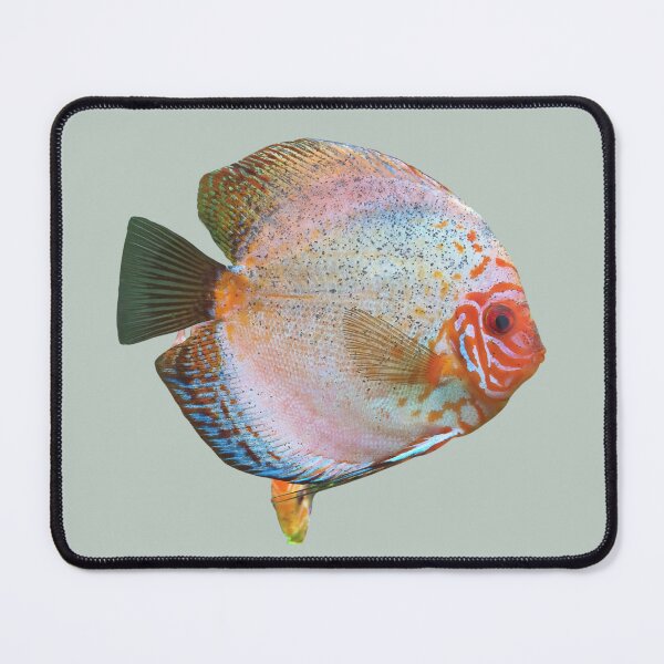 Item preview, Colorful Discus Fish designed and sold by RainbowSpinkle.