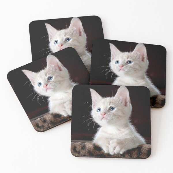 Item preview, ANIMALS #5 - Adorable Angelic White Kitten designed and sold by DEL-Productions.