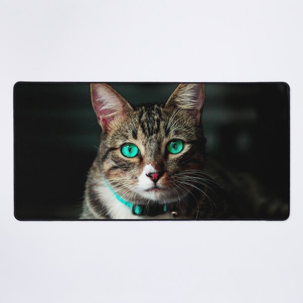 Item preview, ANIMALS #15 - Cat with Liquid Aquamarine Eyes designed and sold by DEL-Productions.