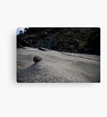 A greybubble Canvas Print