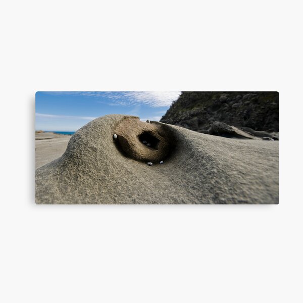 Item preview, A rock for some, a home for others designed and sold by BrainCandy.
