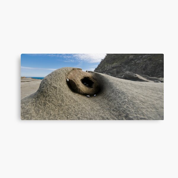 A rock for some, a home for others Metal Print