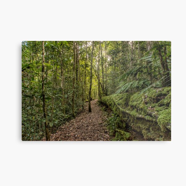 Item preview, Paluma Queensland Australia designed and sold by Allport Photography.