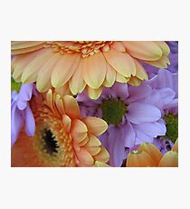 May Flowers Photographic Print