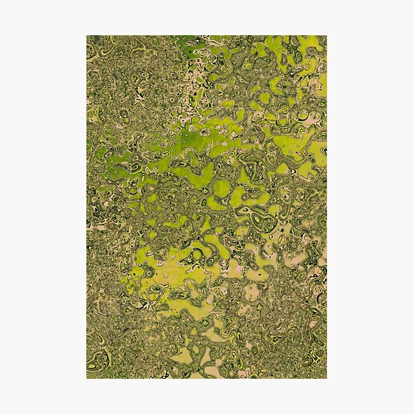 SEGMENTATION 2 Photographic Print