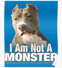 Pit Bull Respect Poster